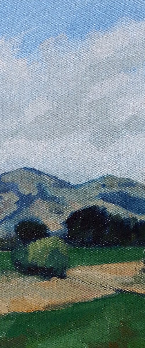 Towards Saddle Hill No2 by Baden French