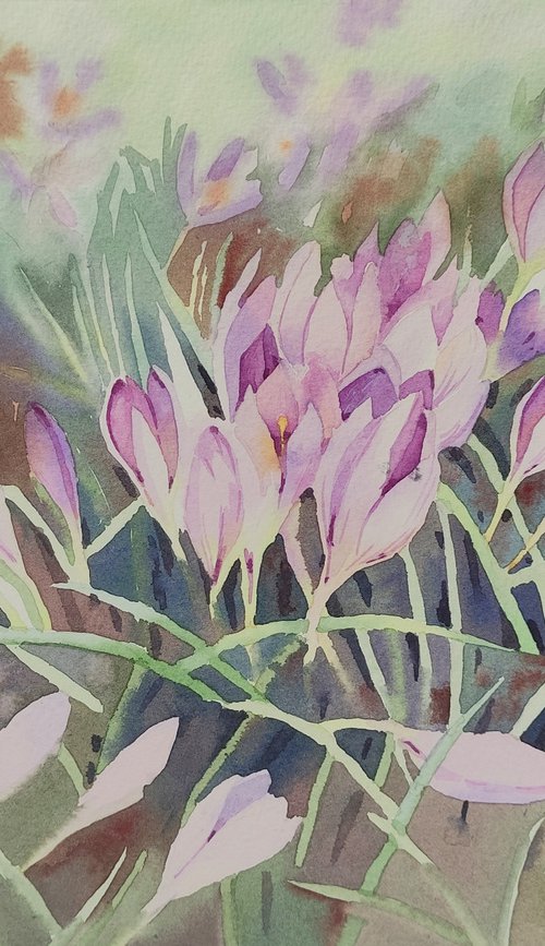 Ukrainian watercolor. Crocuses. Stolen spring by Nina Zakharova