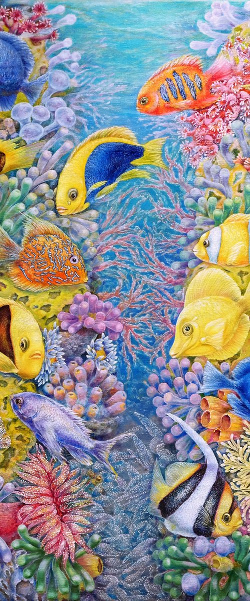 The Red Sea reefs. by Anastasia Woron