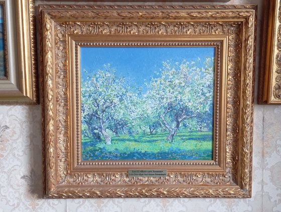 Apple tree in bloom. Kolomenskoye