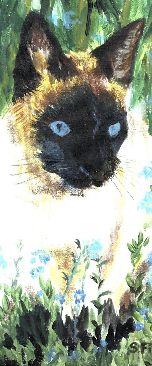 Forget me nots and a siamese cat by Sandra Fisher