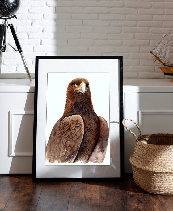 Golden eagle in brown shades