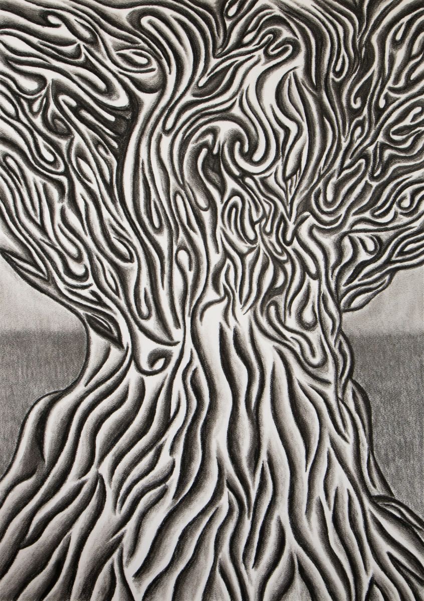 Organic Abstract Charcoal Drawing By Stefan Fierros, 20 X 28", Tree Of Souls, Original Artwork
