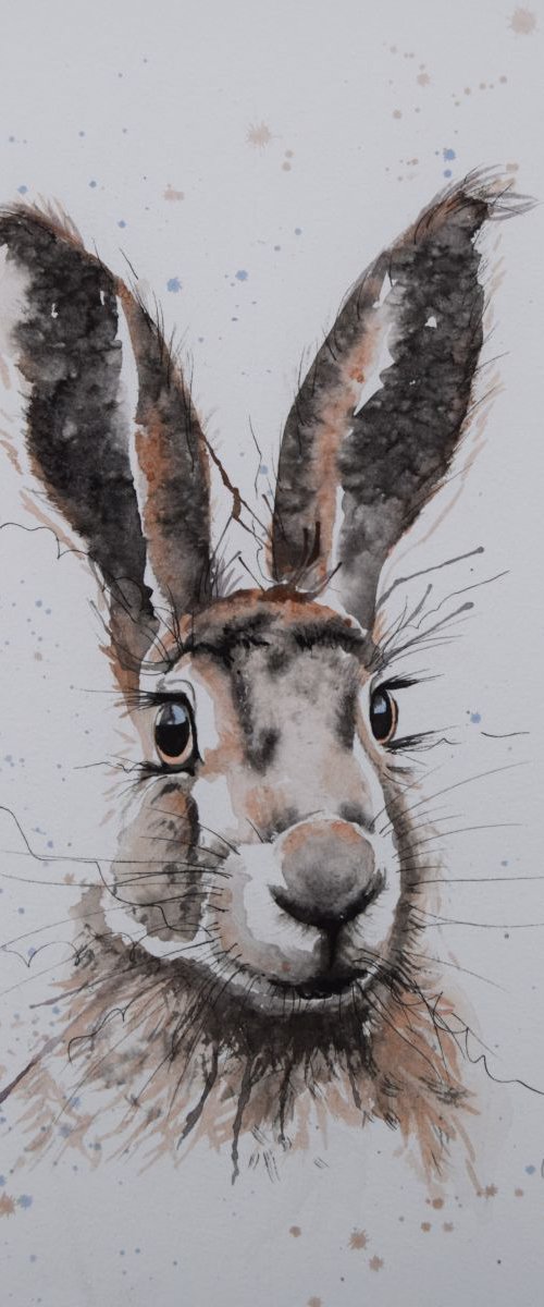 'Bright Eyes' by Nicola Colbran