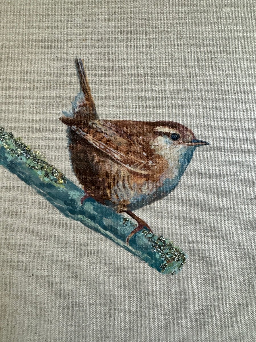 Wren on Lichen by Hannah Bruce