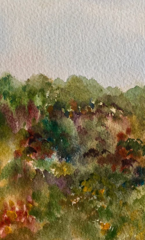 Barkers hill woods, West Wiltshire by Samantha Adams