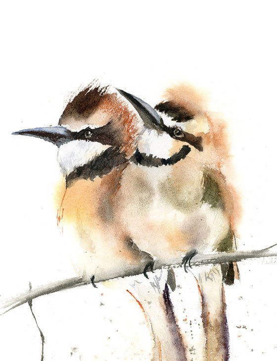 Two white throated bee eater birds  -  Original Watercolor Painting