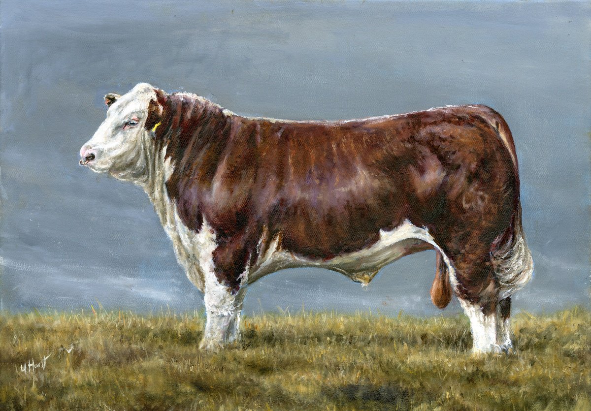 Hereford bull by Una Hurst