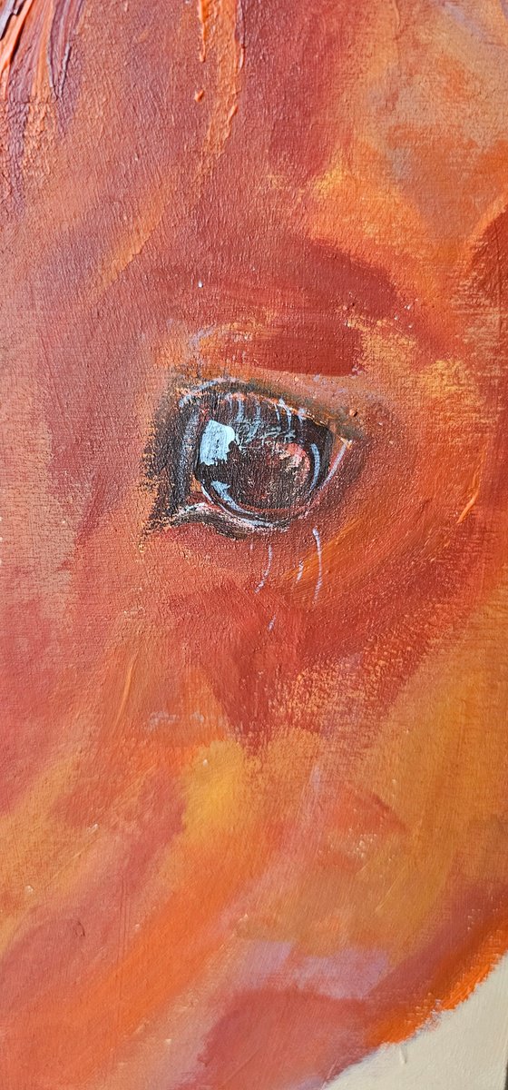 Orange chestnut horse profile