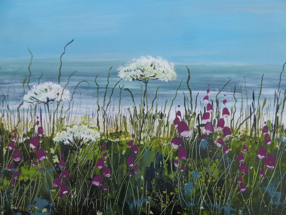 Cornish Coast Meadow