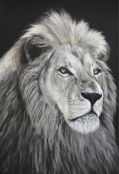 Lion realism wild animals pastel on pastelmat by Deimante Bruzguliene