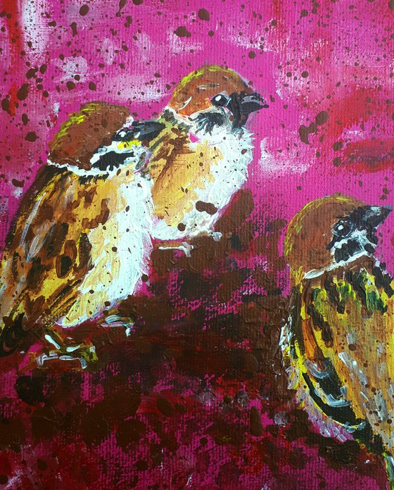 "Sparrows"