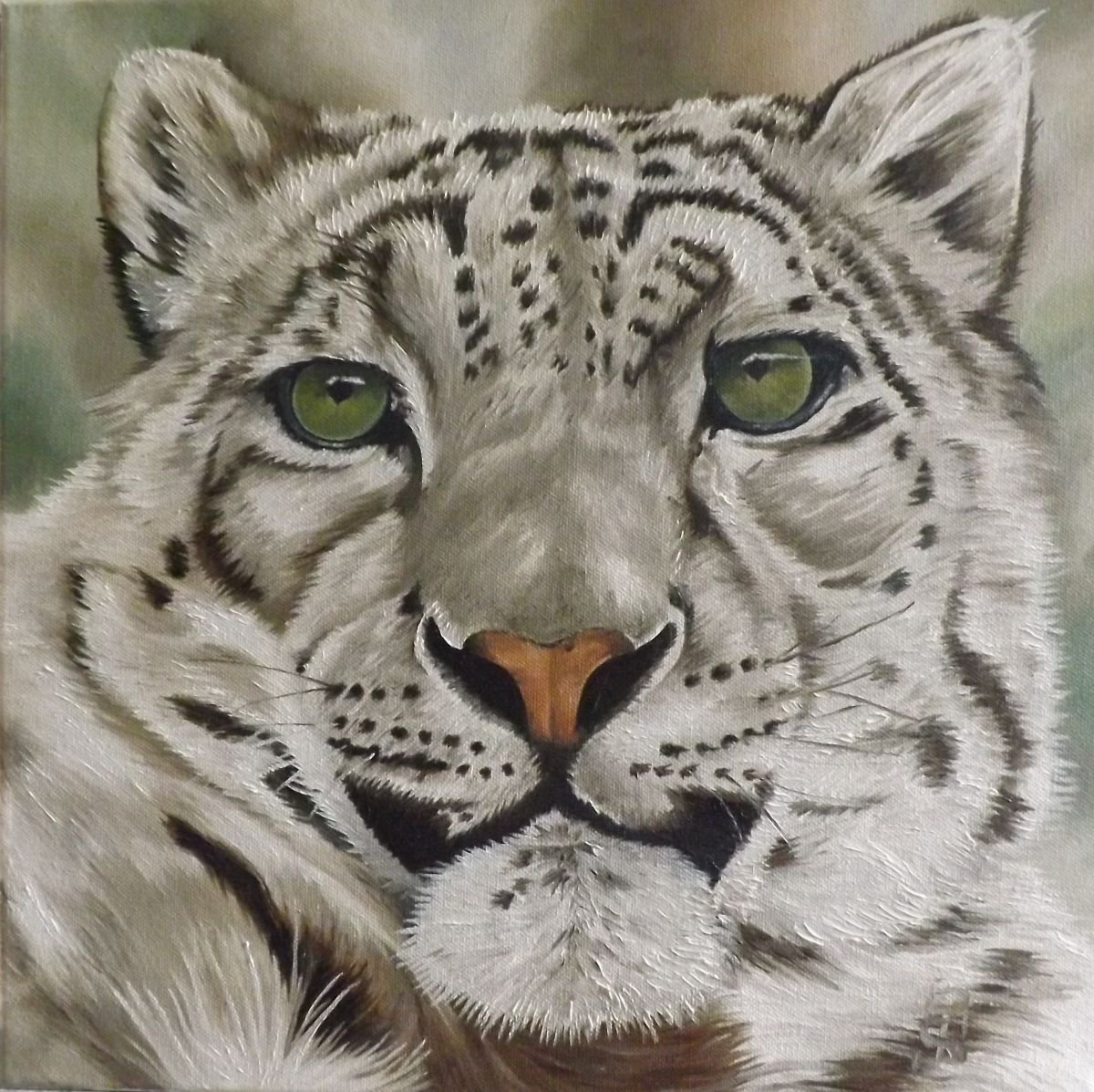 Snow leopard by Pauline Sharp