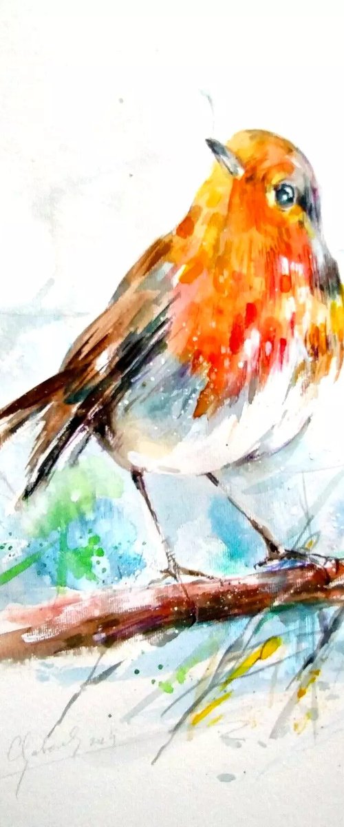 Robin watercolour by Anna Maria