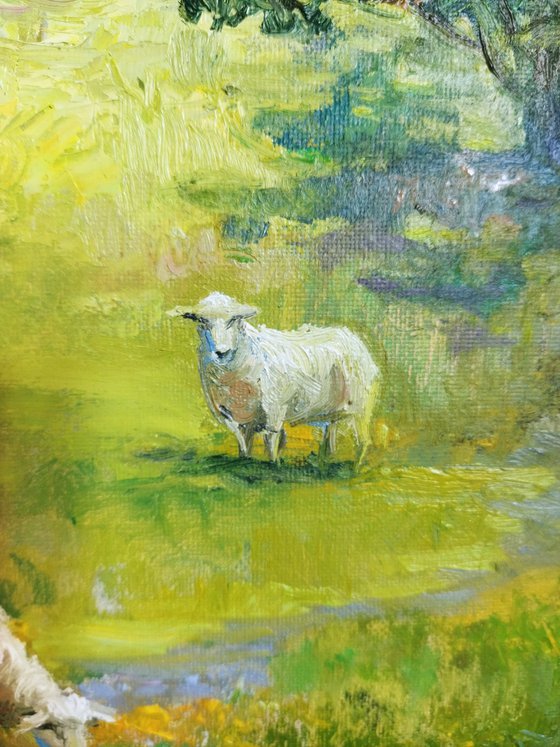 Three sheep