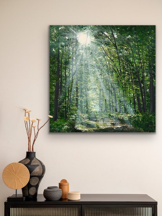 Where The Light Finds You