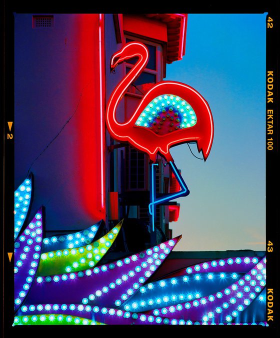 Neon Flamingo, Norfolk