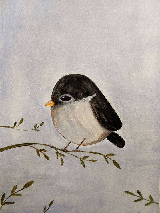 The small bird in black and gray