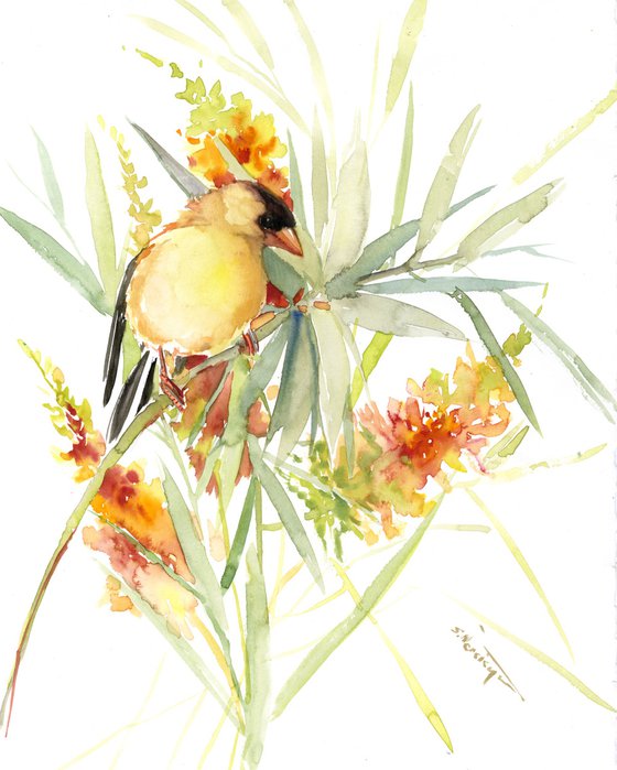 American Goldfinch and Flowers