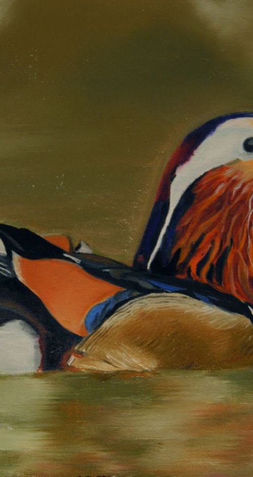 Colored Waterfowl by Simona Tsvetkova