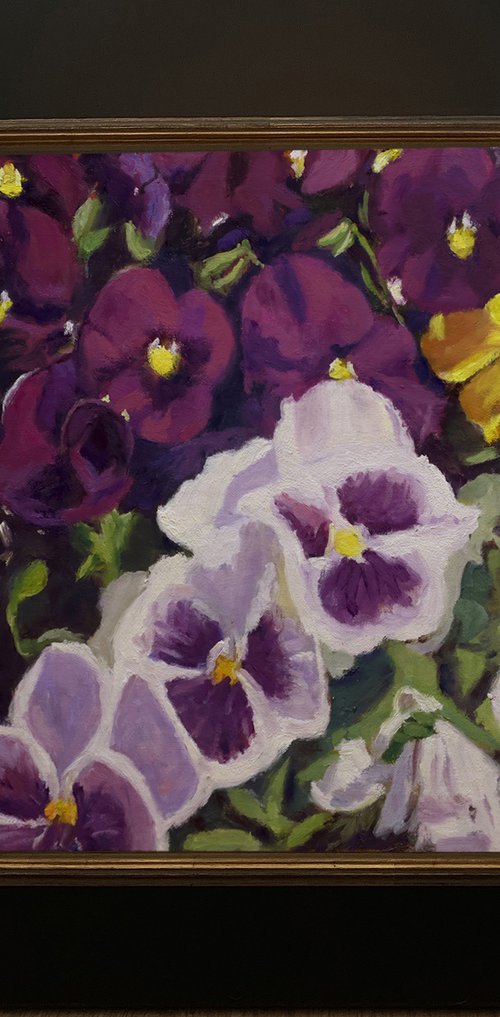 Fancy Pants Pansies by Daniel Brian Fishback