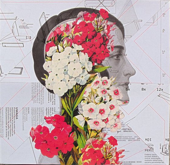 Collage_93