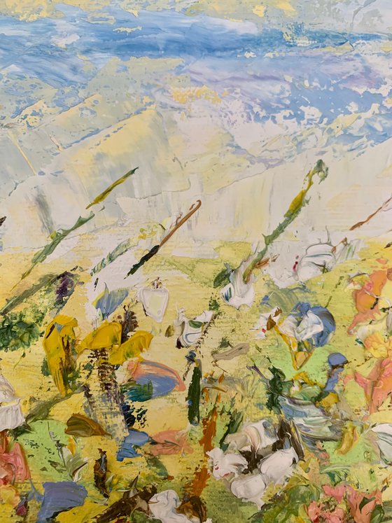 Blooming field in summer