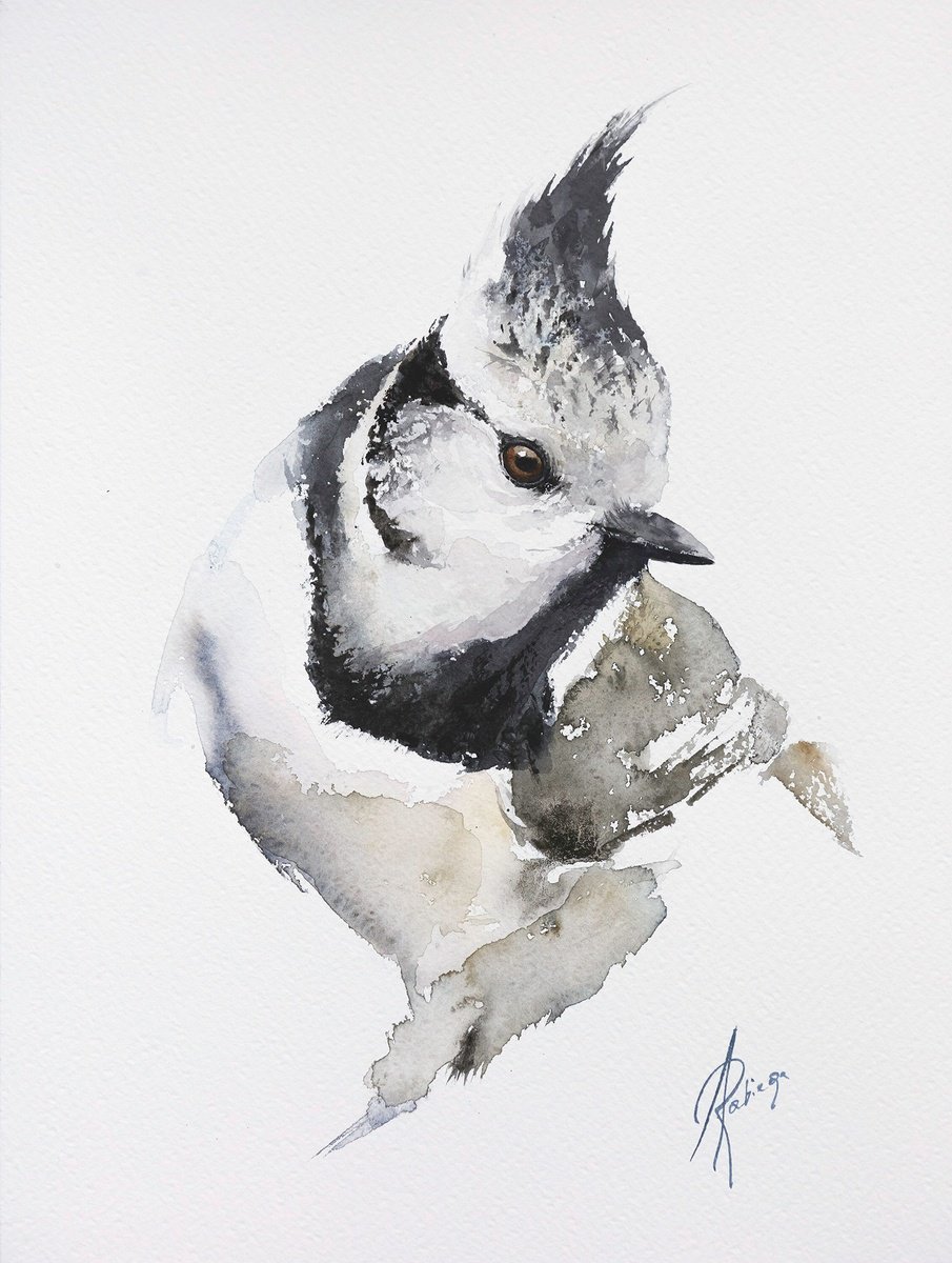 Abstract Animal Watercolour By Andrzej Rabiega, 9 X 12, Crested Tit 2, Original Artwork
