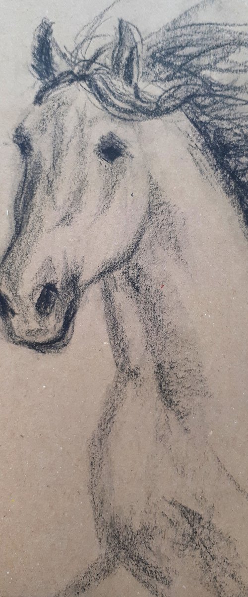 Horse 3 Sketch  /  ORIGINAL PAINTING by Salana Art Gallery