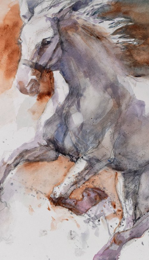 Horse in the run  4 (70x50) by Goran Žigolić Watercolors