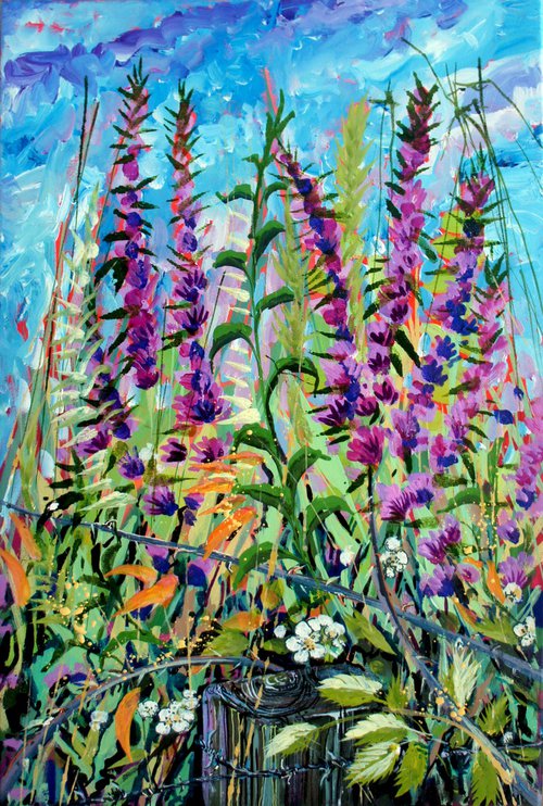 Purple Loosestrife and brambles and barbed wire by Julia  Rigby