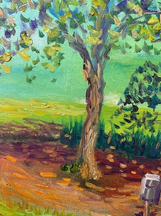 Bench under the tree