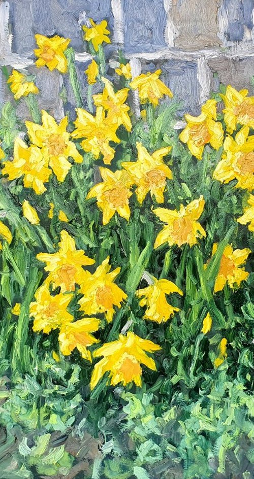 the daffodils by Colin Ross Jack