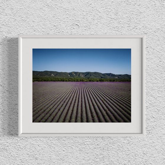 PROVENCE LANDSCAPE