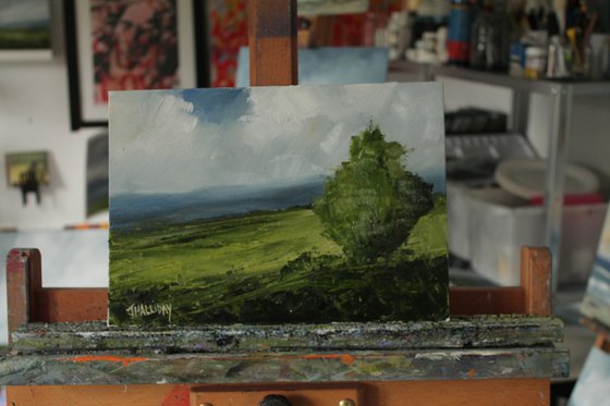 One Tree, Irish Landscape 2023