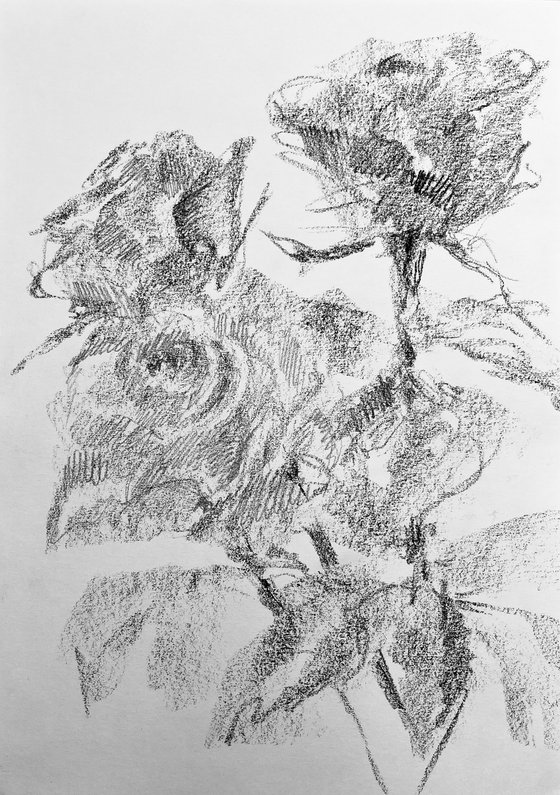 Roses #14. Original charcoal drawing