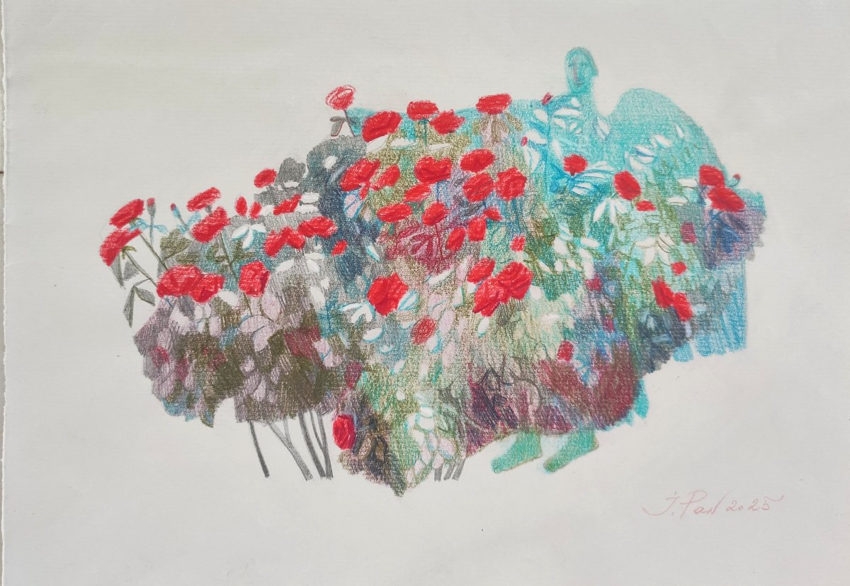 Impressionistic Botanical Pencil Drawing By Inna Pantelemonova, 12 X 8, Morning Velvet, Original Artwork