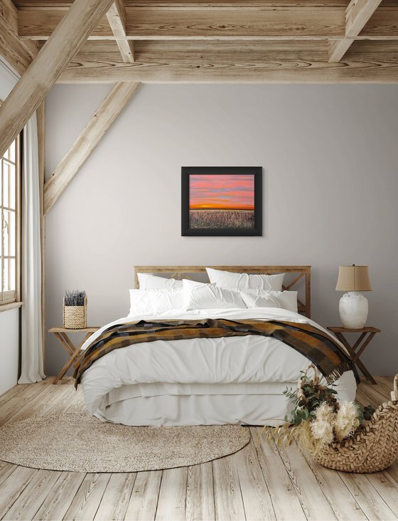 Where the Day Softens