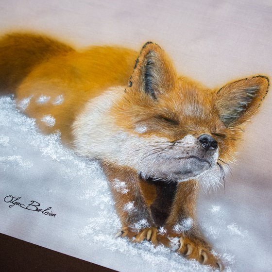 Sleepy fox