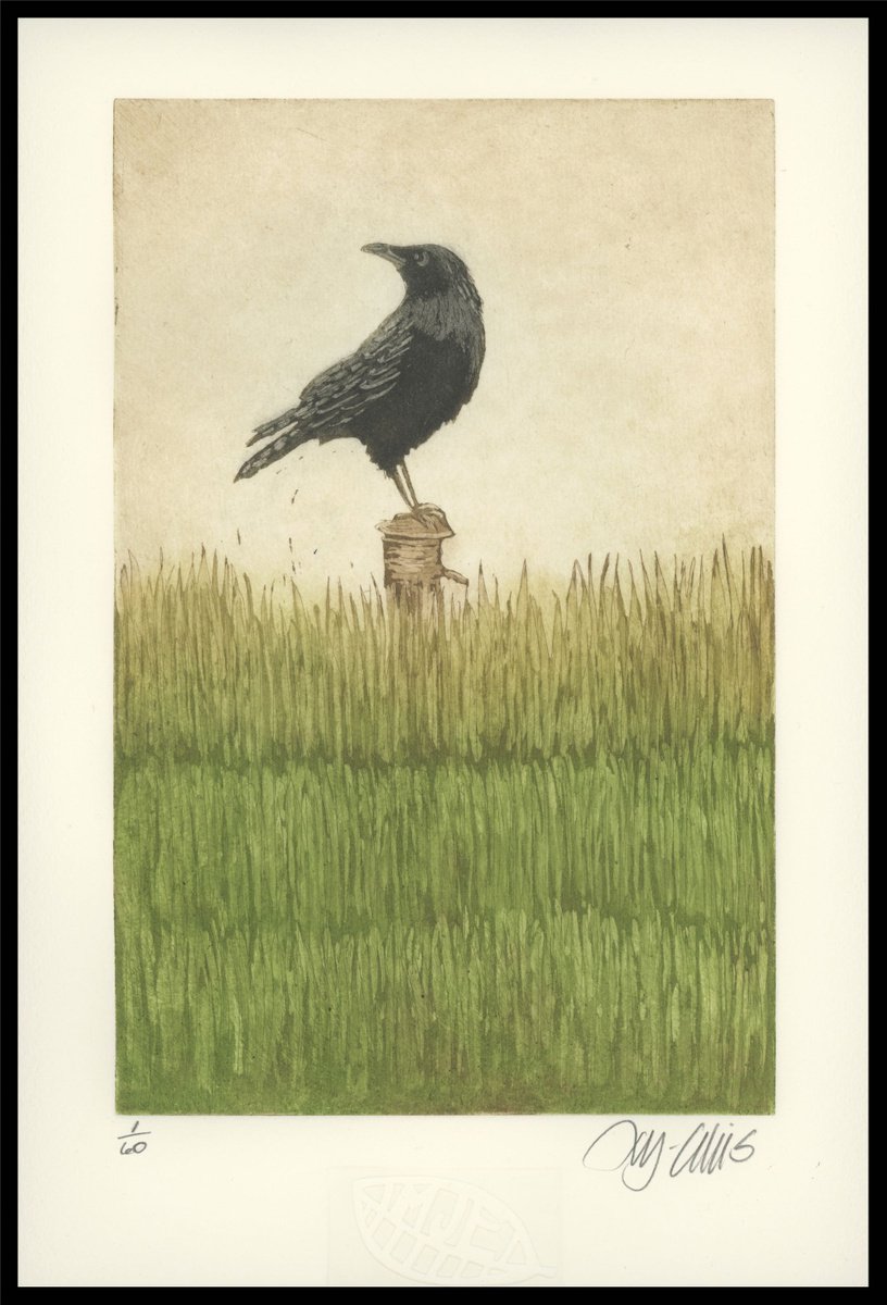 Crow, aquatint etching by Mariann Johansen-Ellis