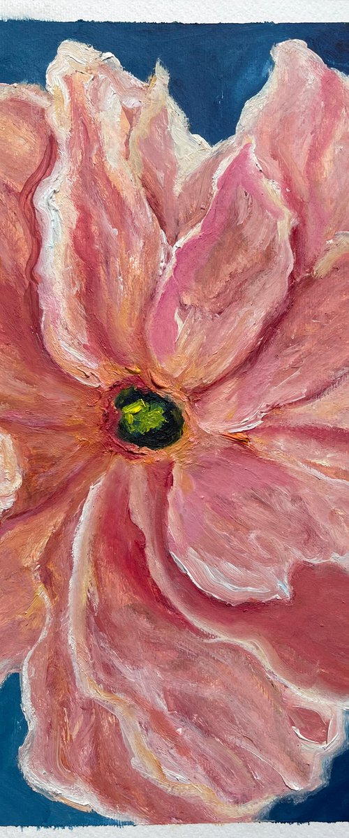 Peony by Anastasiia Novitskaya
