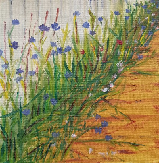 Flowers  Meadow painting