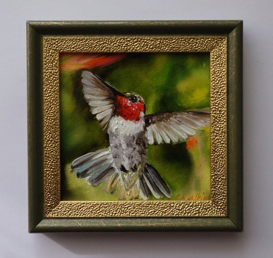 Hummingbird Miniature Art