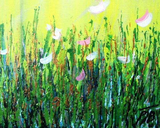 Magnolia Spring