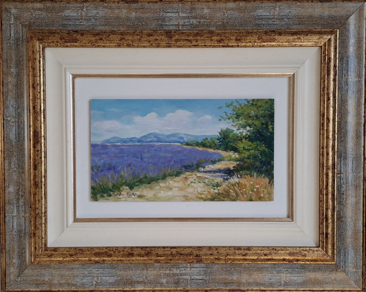 Impressionistic Botanical Oil Painting By Claudio Ciardi, 18 X 14, Lavander Fields In Provence, Original Artwork
