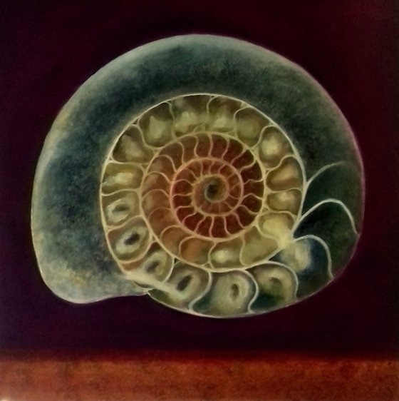 Ammonite Green & Gold