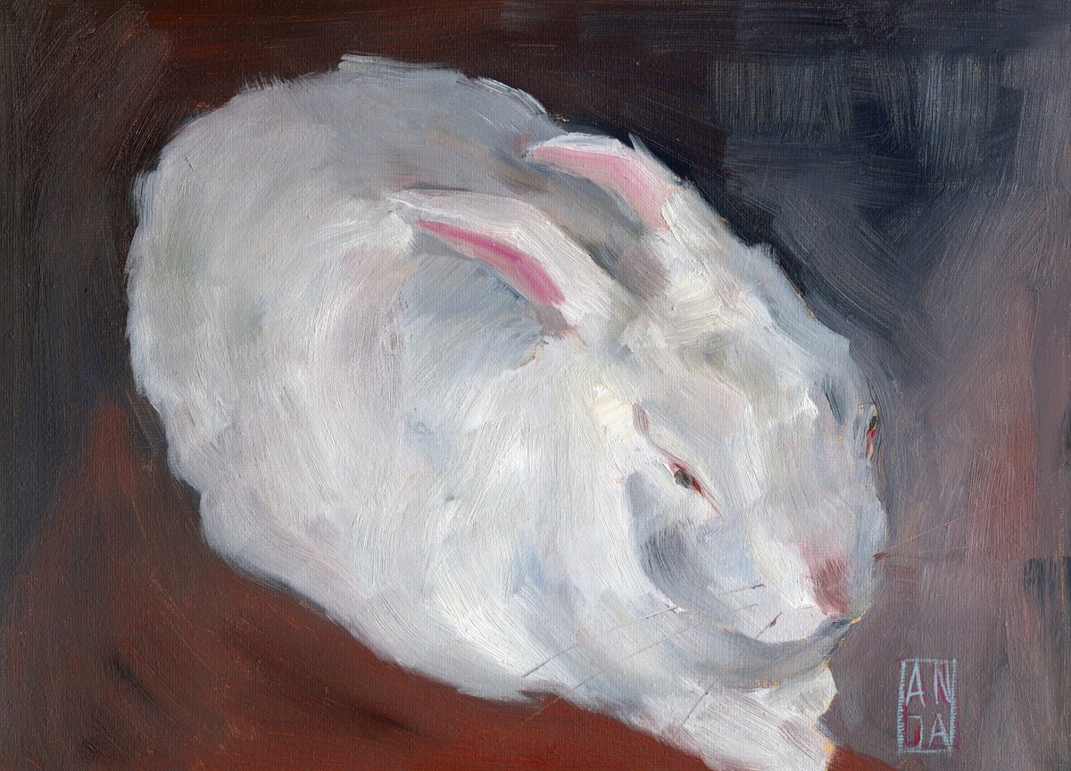 Rabbit 3 by Anja Rudko