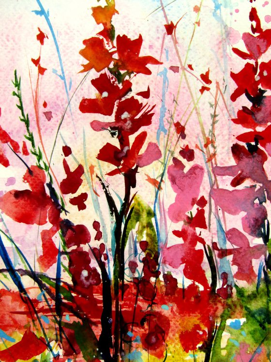 Summer wildflowers