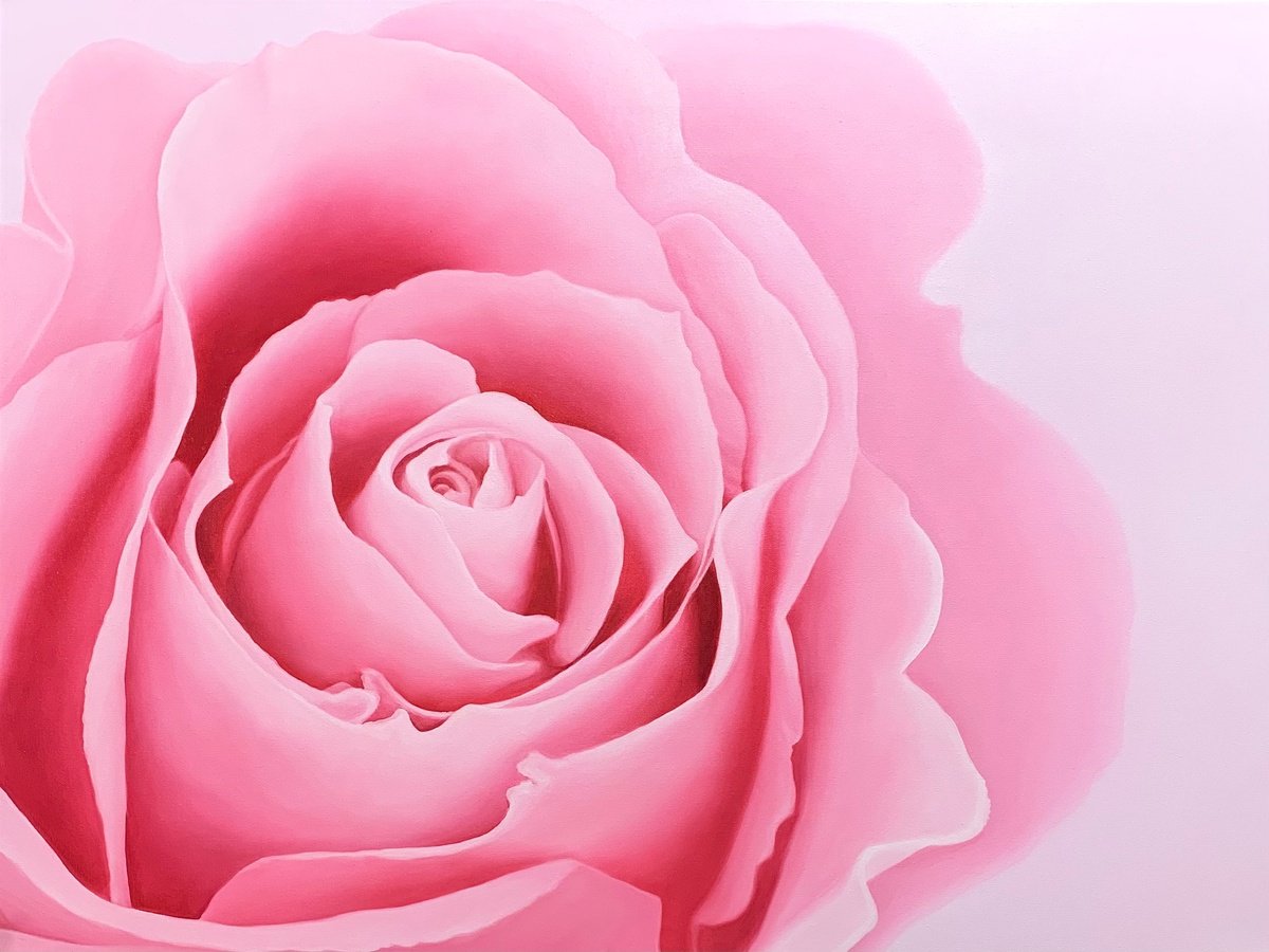 Photorealistic Botanical Oil Painting By Alla Kallass, 40 X 30, Majesty. Rose, Original Artwork