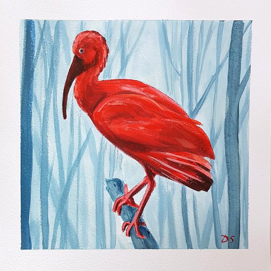 Scarlet Ibis sitting